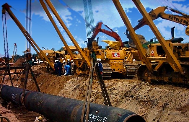 Line of sidebooms lowering pipe into the trench