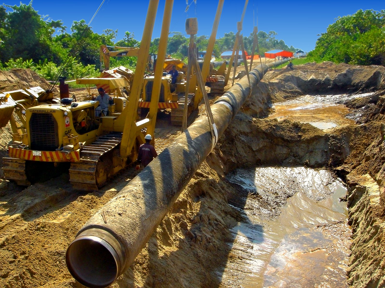 Sidebooms lowering the pipe string together into a wet trench